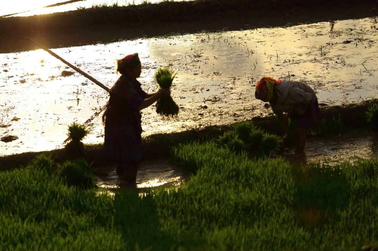 Mu Cang Chai Eco Lodge Nam San Eksteriør billede