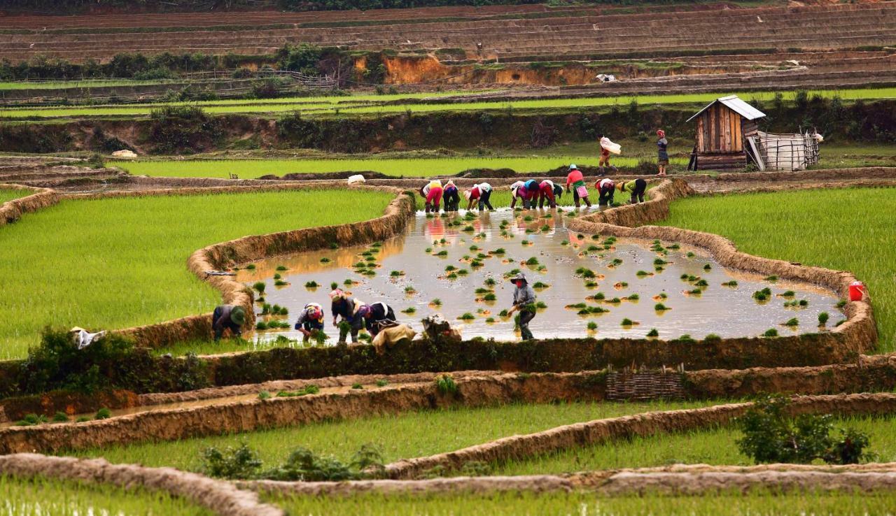 Mu Cang Chai Eco Lodge Nam San Eksteriør billede