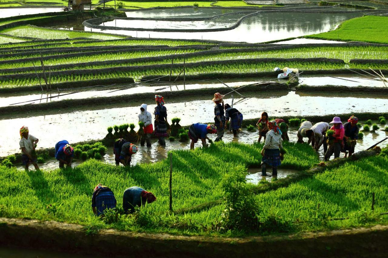 Mu Cang Chai Eco Lodge Nam San Eksteriør billede