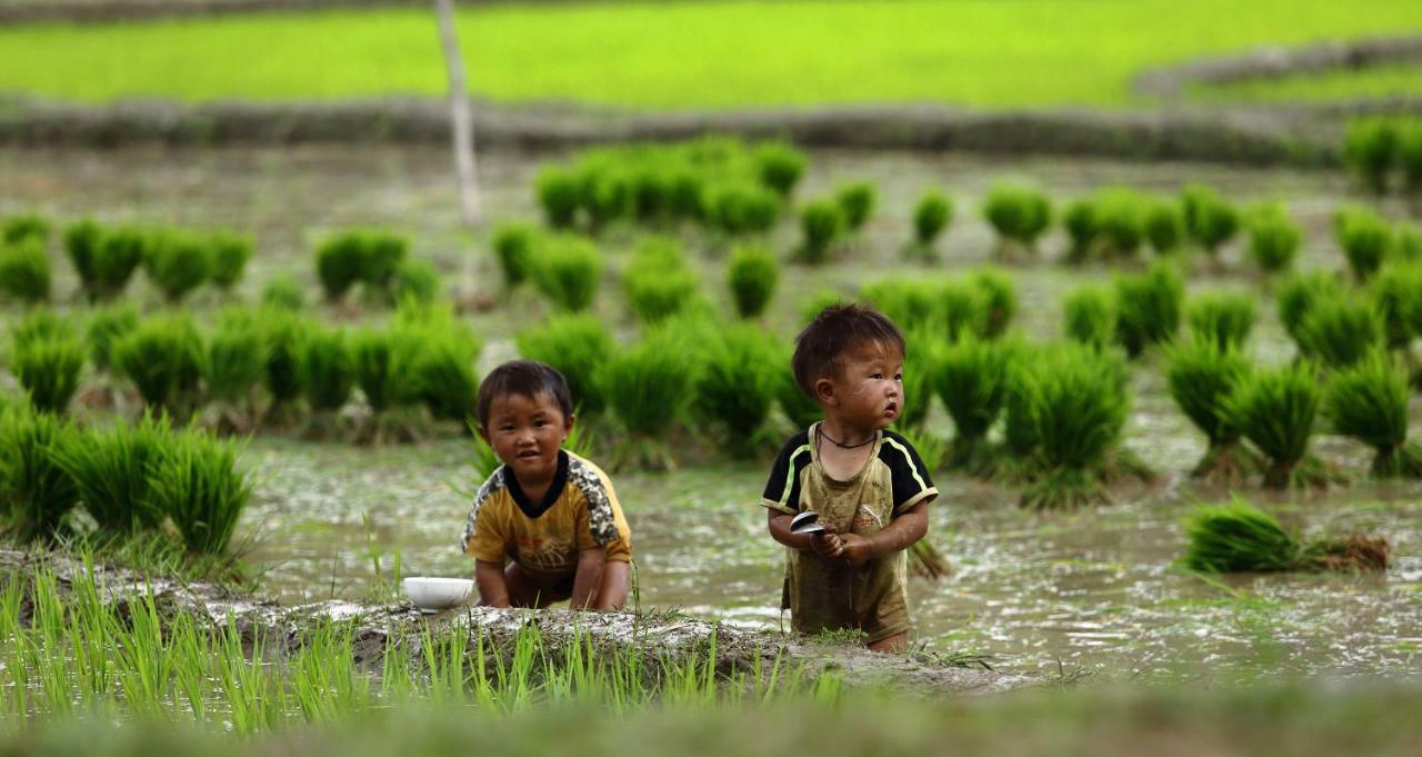Mu Cang Chai Eco Lodge Nam San Eksteriør billede