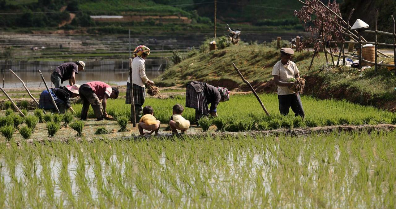 Mu Cang Chai Eco Lodge Nam San Eksteriør billede