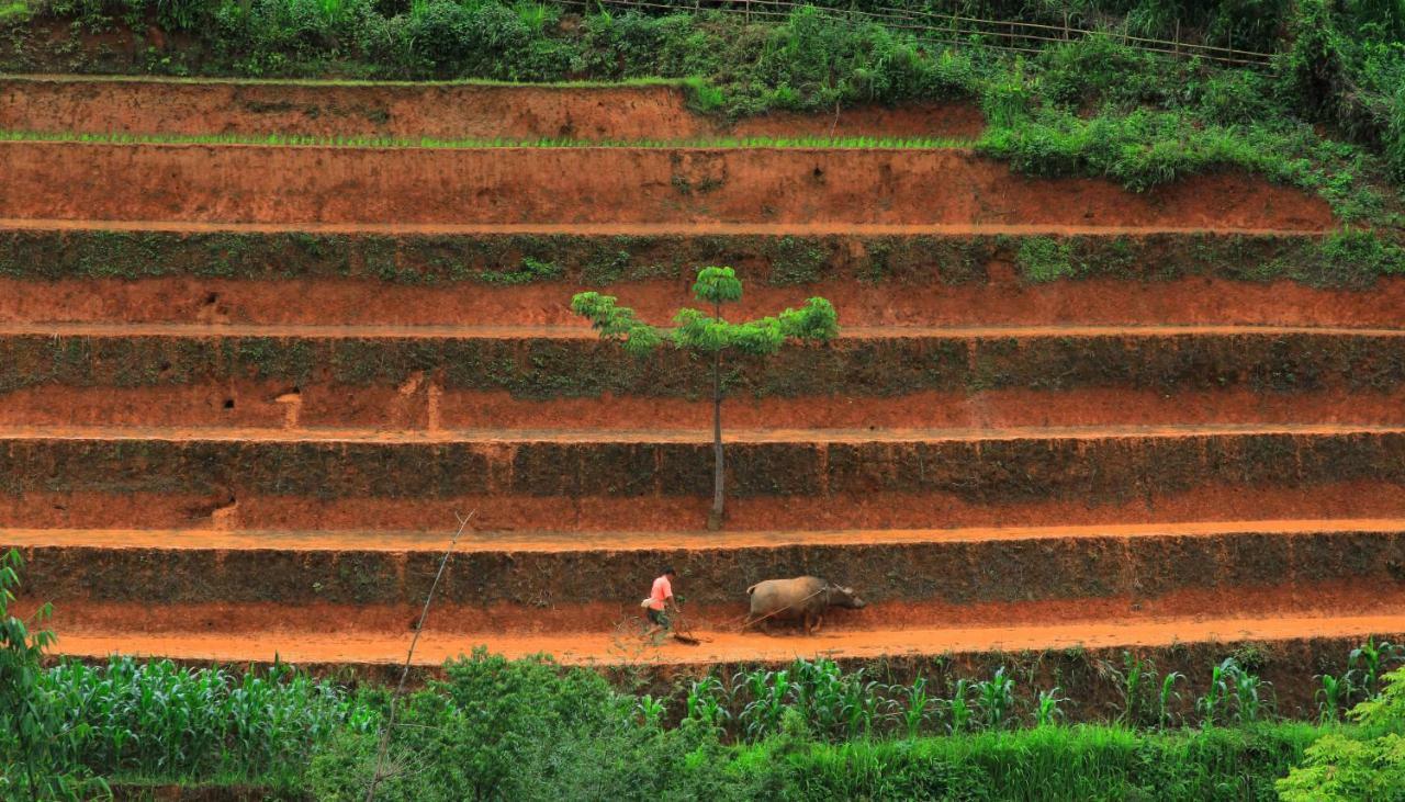 Mu Cang Chai Eco Lodge Nam San Eksteriør billede